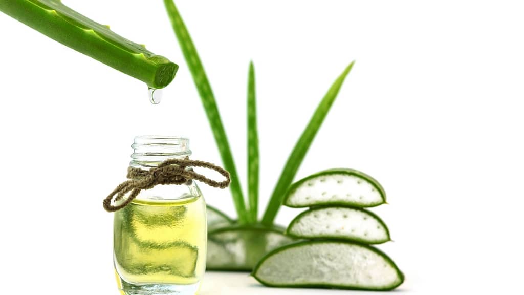 Désinfectant naturel pour les mains à l'aloes (Covid-19)