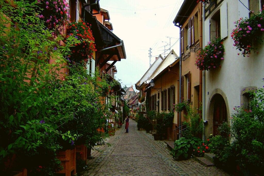 Les vignobles d'Alsace en France