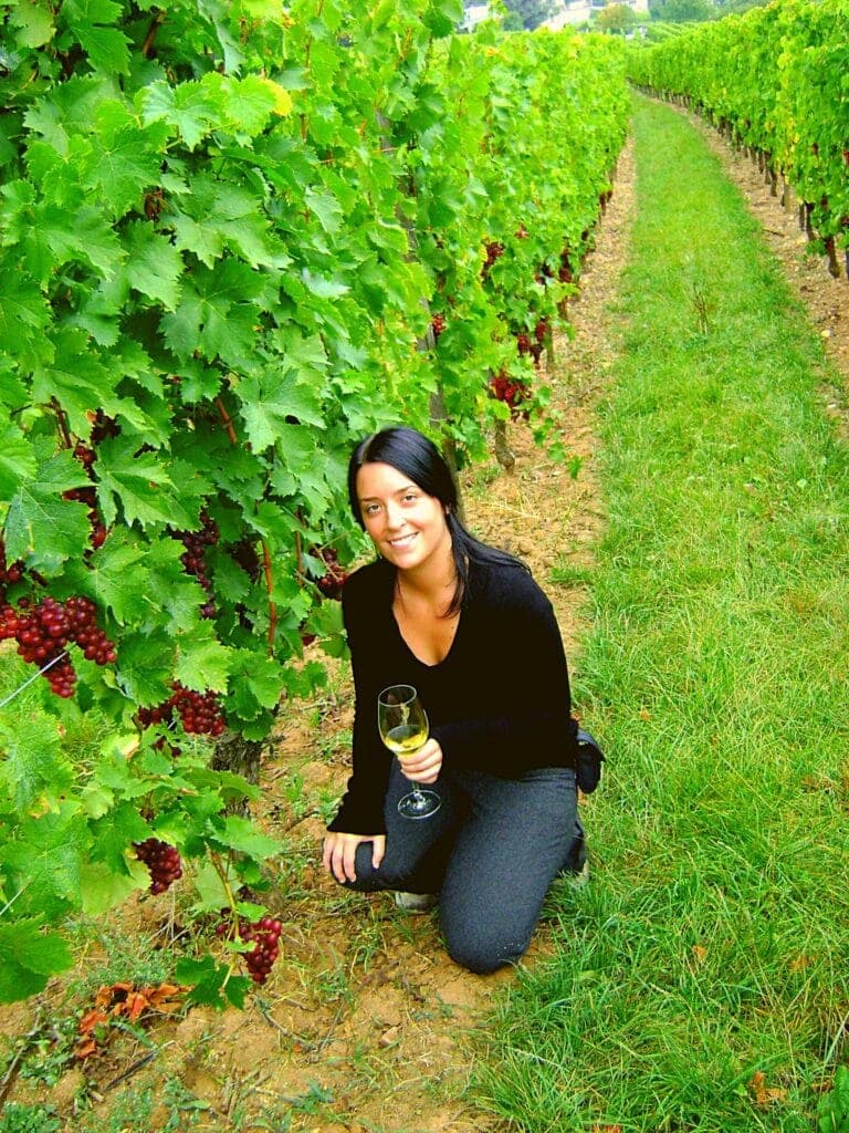 Les vignobles d'Alsace en France