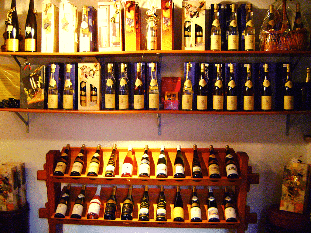 Les vignobles d'Alsace en France