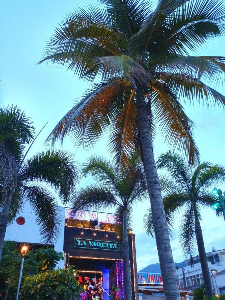 Séjour au Mexique Puerto Vallarta