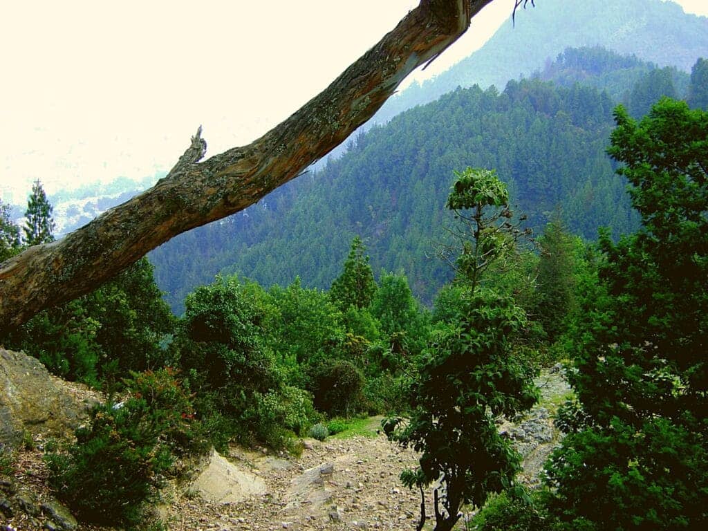 Voyager en Colombie