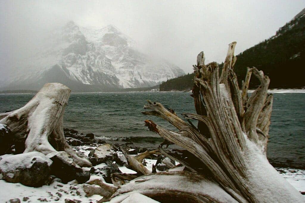 Excursions au Canada Alberta