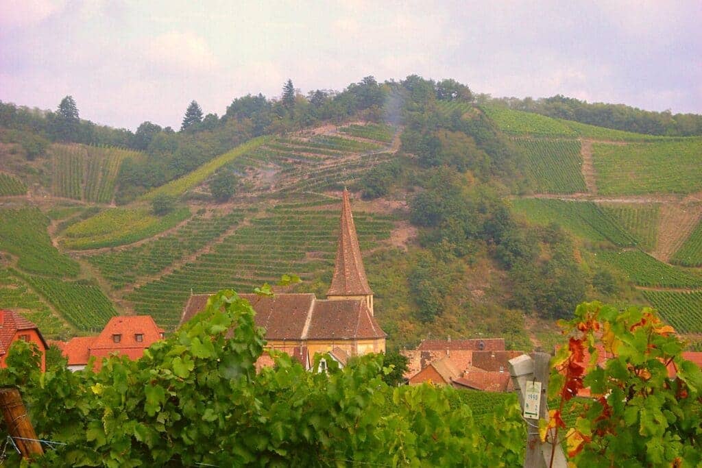 Les vignobles d'Alsace en France