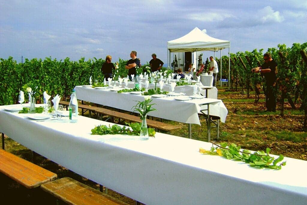 Les vignobles d'Alsace en France