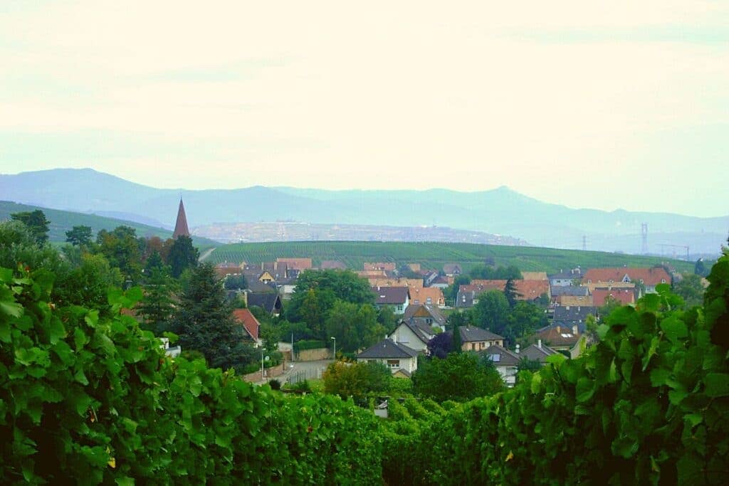 Les vignobles d'Alsace en France