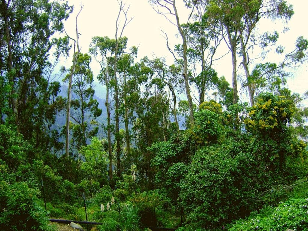 Voyager en Colombie