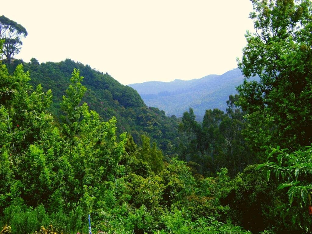 Voyager en Colombie