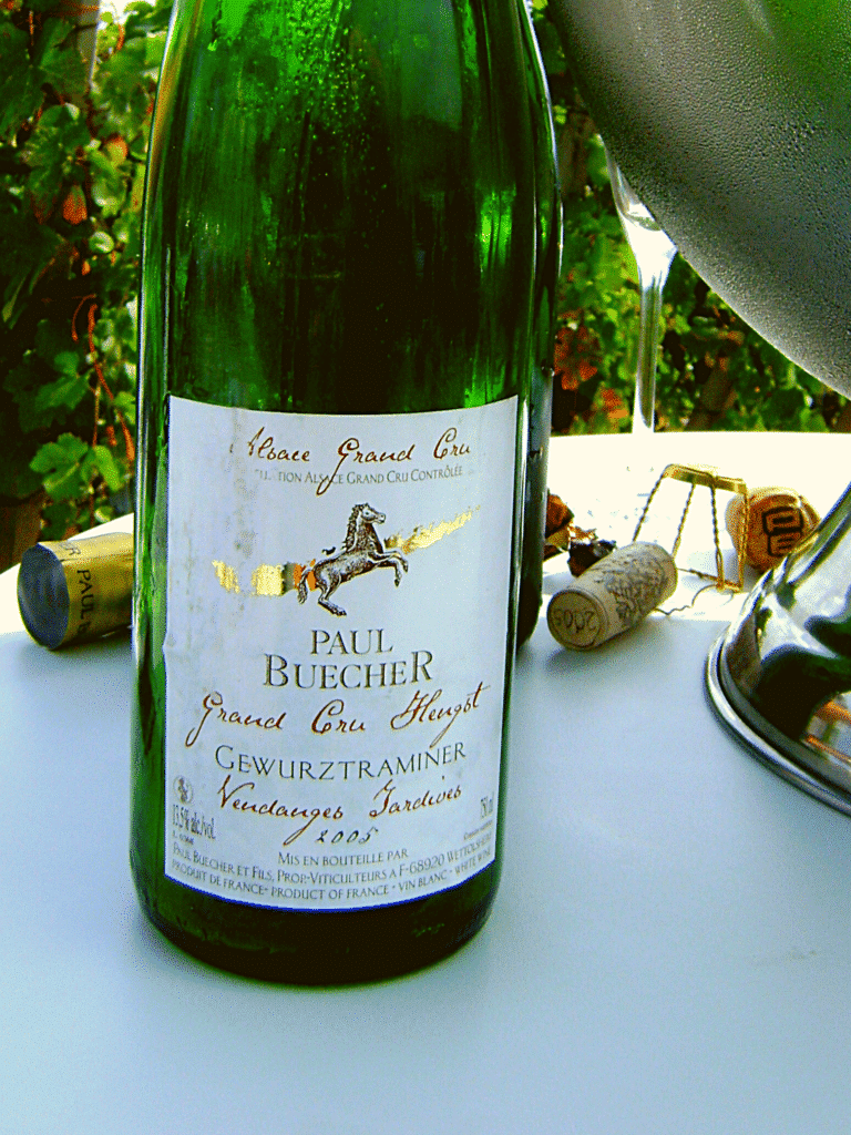 Les vignobles d'Alsace en France