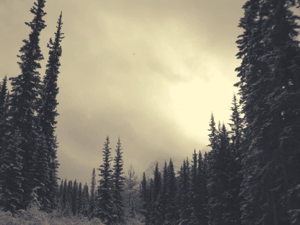 Excursions au Canada Alberta