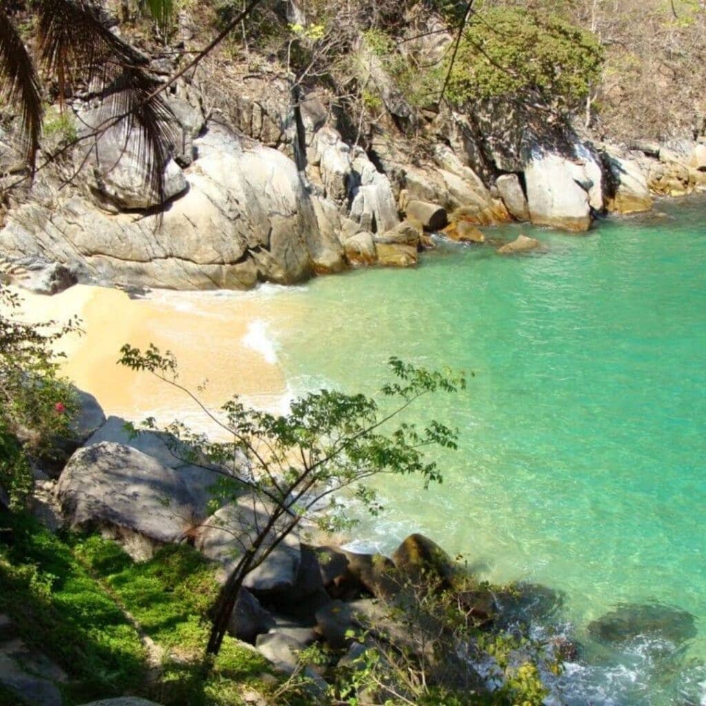 Séjour au Mexique Puerto Vallarta