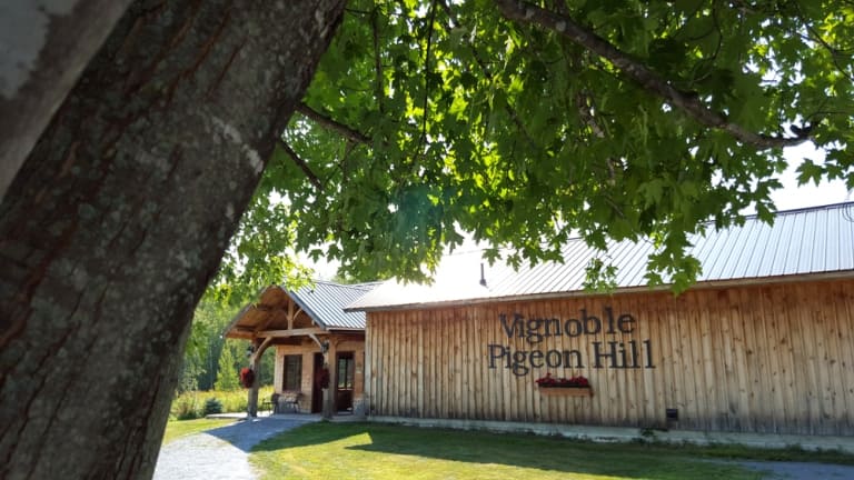 Vignoble Pigeon Hill
