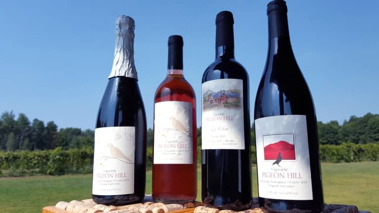 Vignoble Pigeon Hill