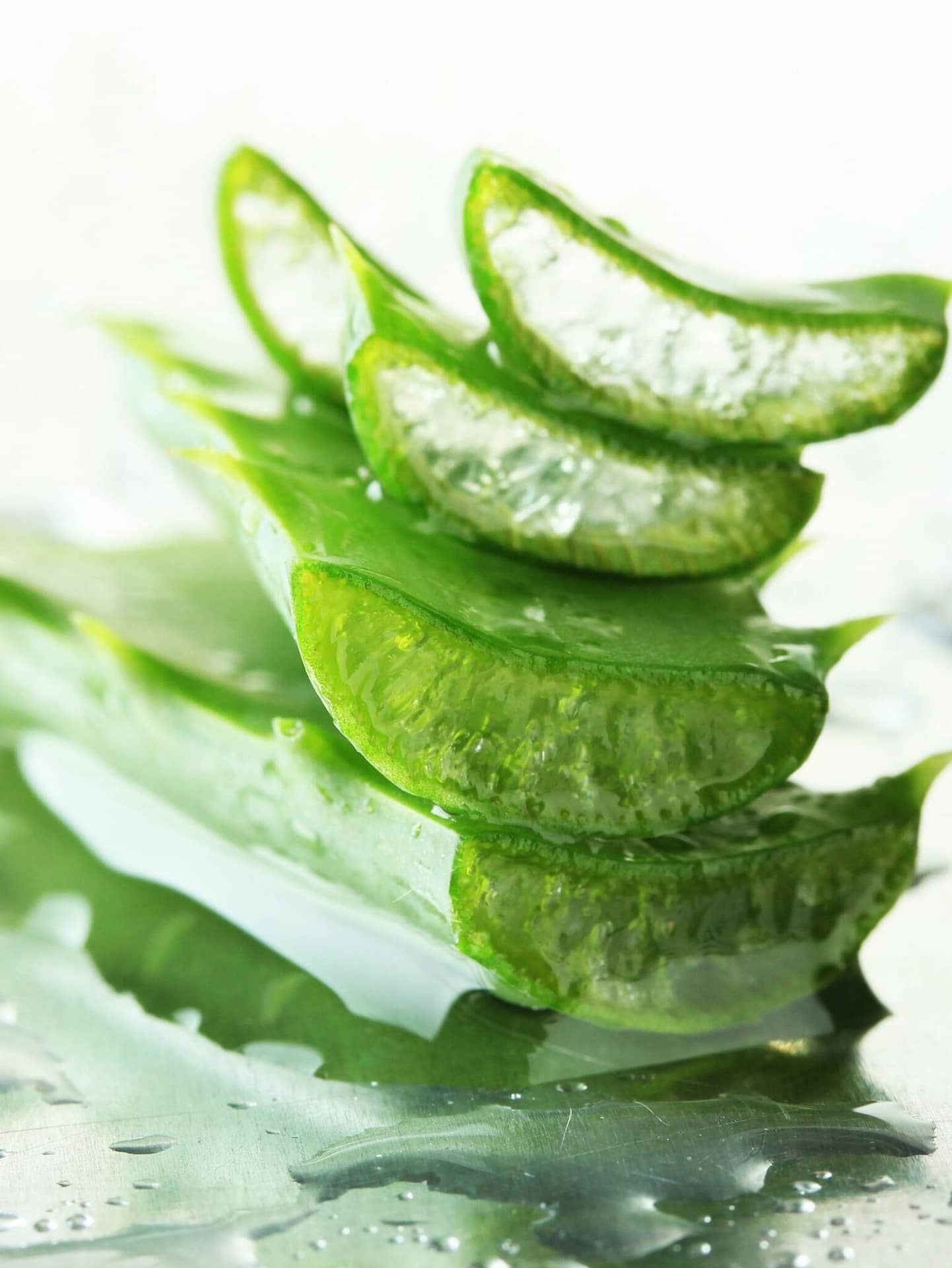 aloes